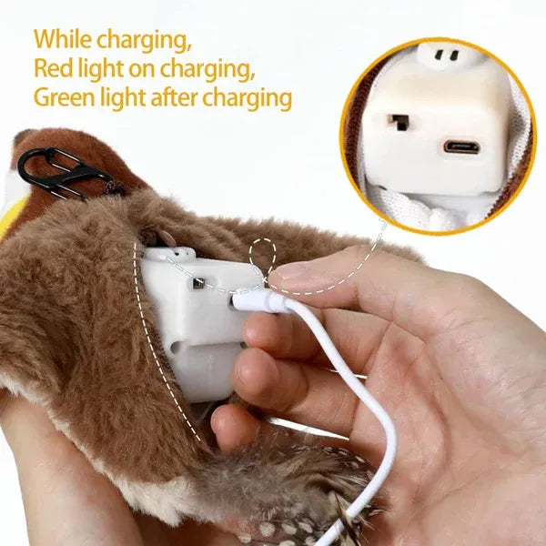 preview
