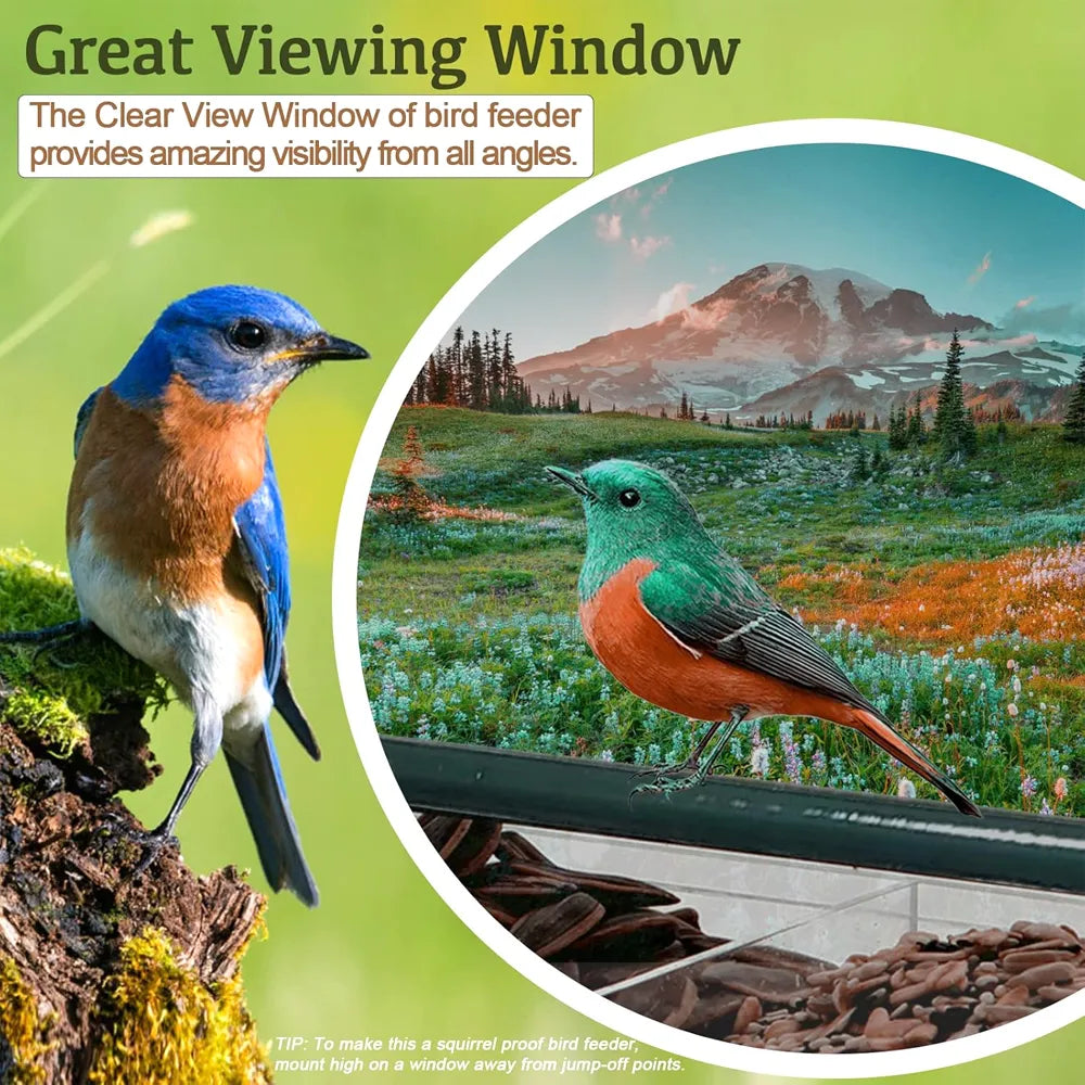 🐦 Acrylic Window Bird Feeder – Clear Bird House with Strong Suction Cups & Removable Seed Tray