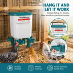 🐔 Hanging Automatic Chicken Feeding & Watering System 🔥
