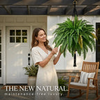 🌿23.62-Inch Artificial Boston Ferns – Realistic Faux Hanging Greenery