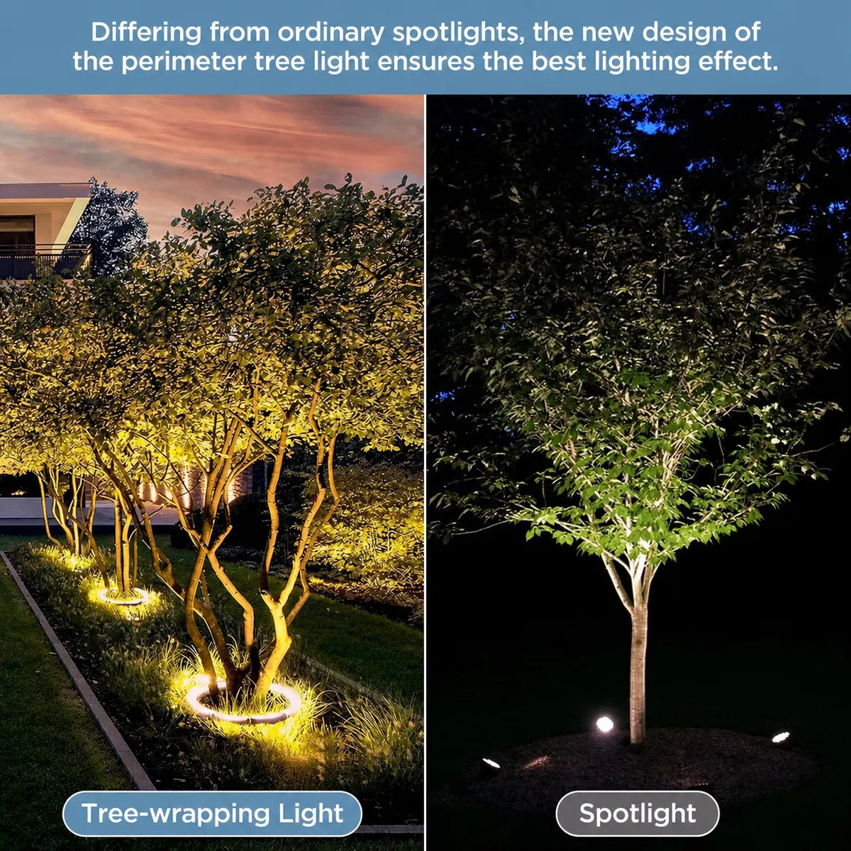 360° Warm White Tree Ring Landscape Lighting Kit