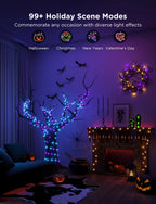 Smart String Lights  [APP & Remote Control]