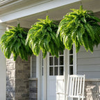🌿23.62-Inch Artificial Boston Ferns – Realistic Faux Hanging Greenery