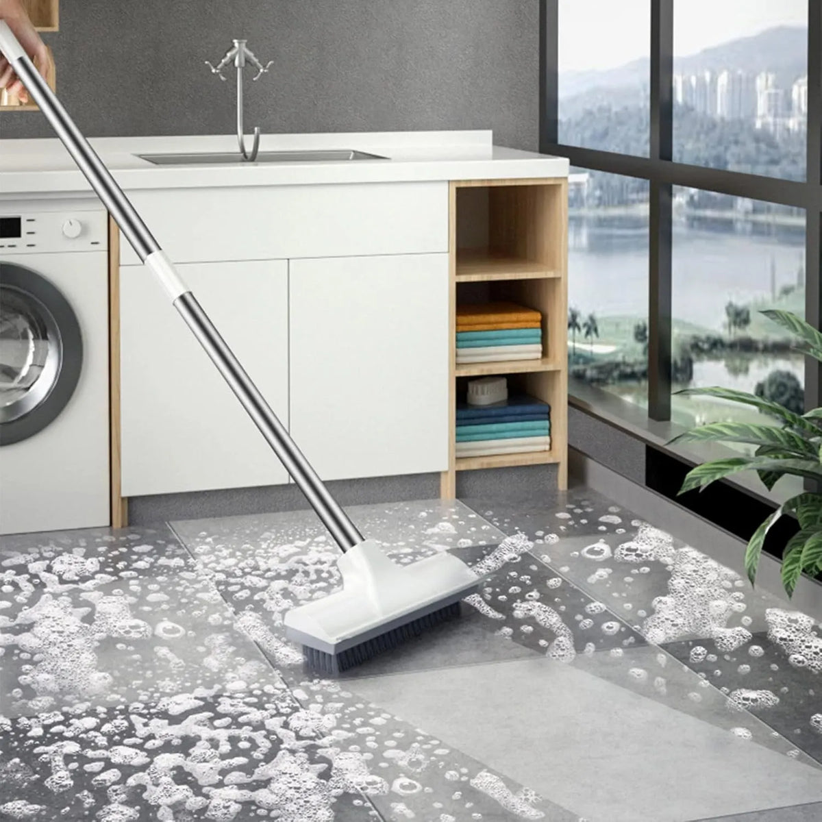 Hair Removal Broom
