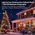 🎄 Want to Light Up the Night in the Most Magical Way?