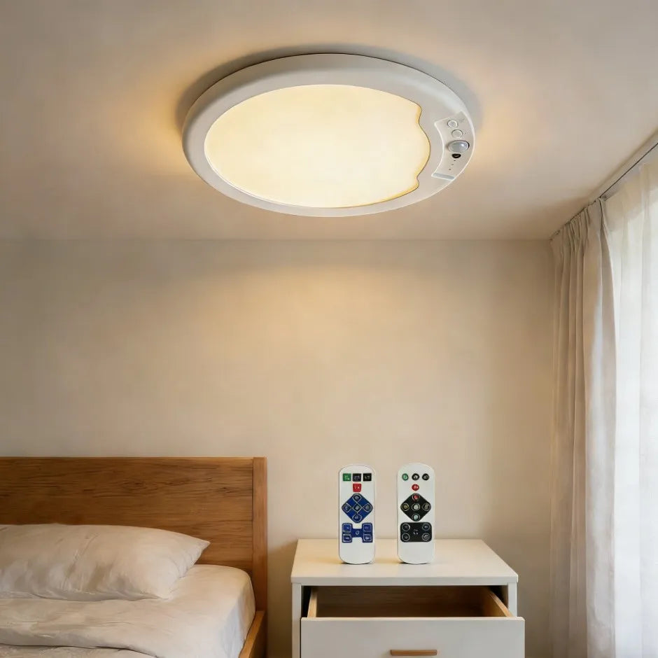 💡Rechargeable Motion Sensor LED Ceiling Light