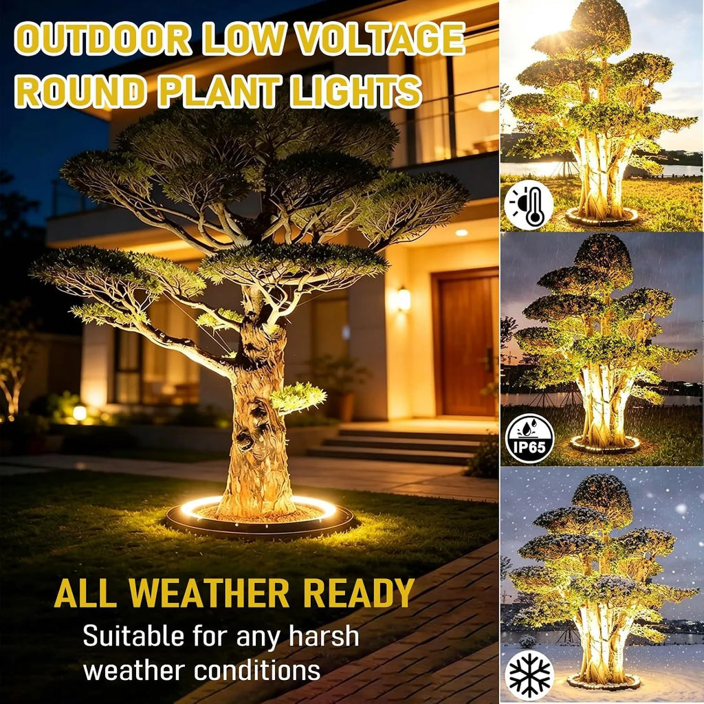 360° Warm White Tree Ring Landscape Lighting Kit