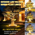 360° Warm White Tree Ring Landscape Lighting Kit
