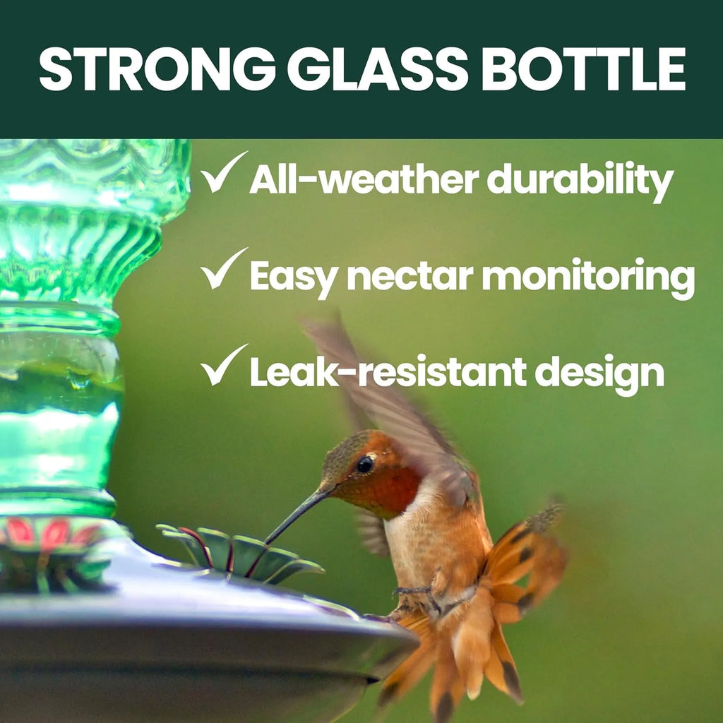 🕊️ Vintage Glass Hummingbird Feeder