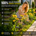 🌞 Outdoor Solar Lawn Light – Smart Outdoor Lighting for Every Outdoor Space