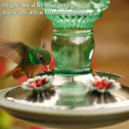 🕊️ Vintage Glass Hummingbird Feeder