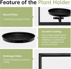 Maximize Space & Style with Our Multifunctional Wall Plant Holder
