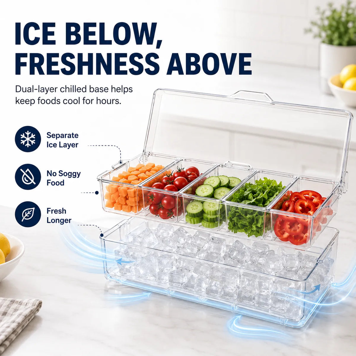 🧊 5-Compartment Chilled Tray