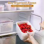 Food Storage Containers for Refrigerator Organization（3-6 PCS）