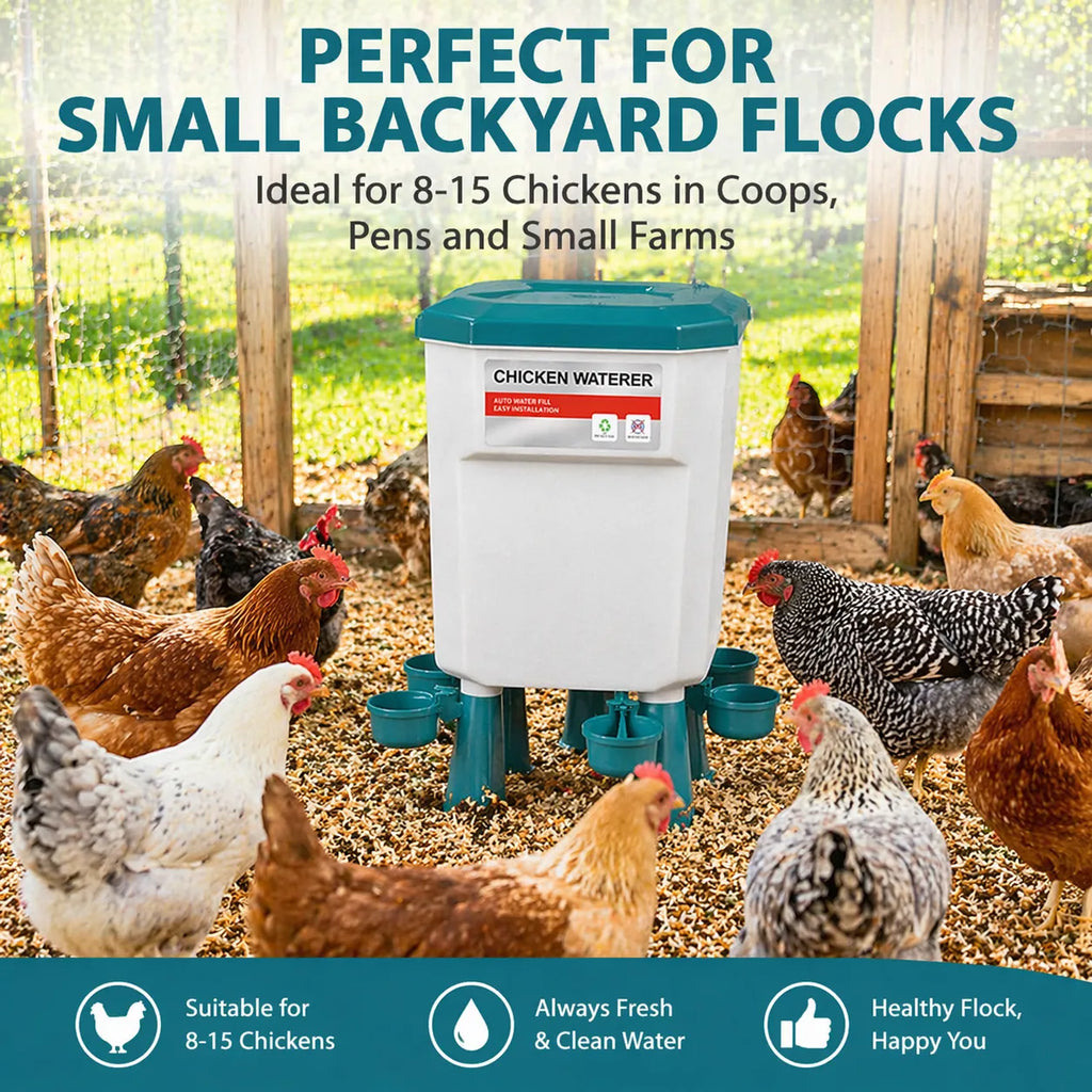 🐔 Hanging Automatic Chicken Feeding & Watering System 🔥
