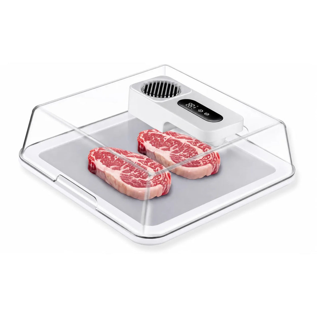 Rapid Thaw Defrosting Box with Timer