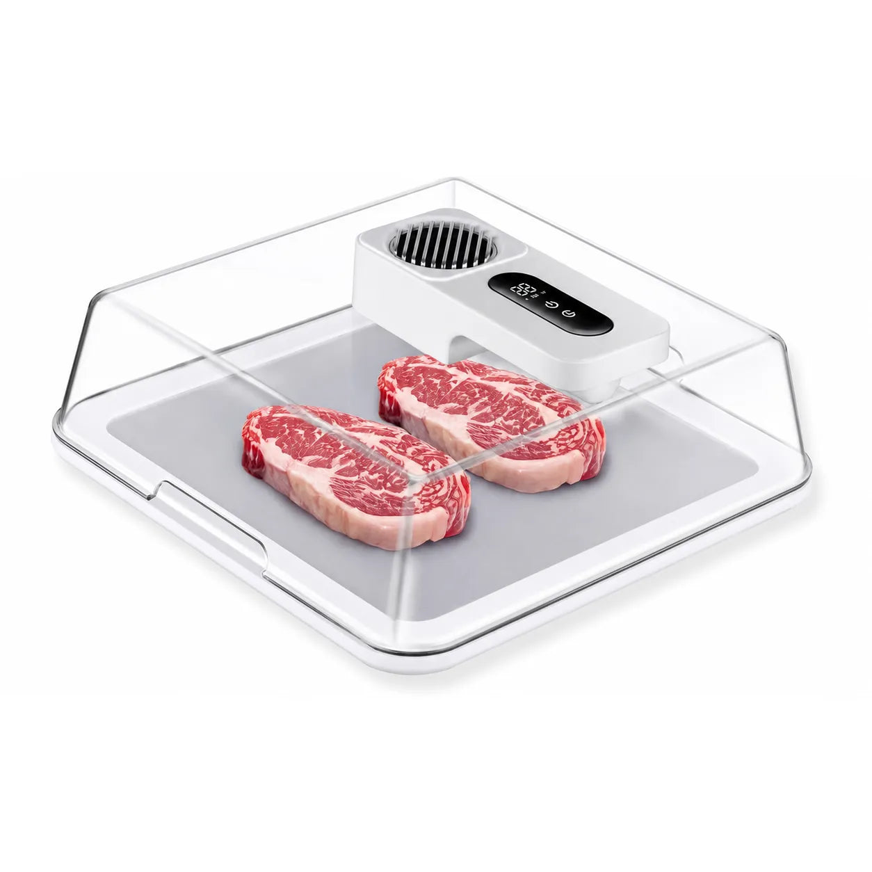 Rapid Thaw Defrosting Box with Timer