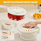 2024 New 2-in-1 Drainer and Strainer | Multi-Function Basket with Lid & Collapsible Handle