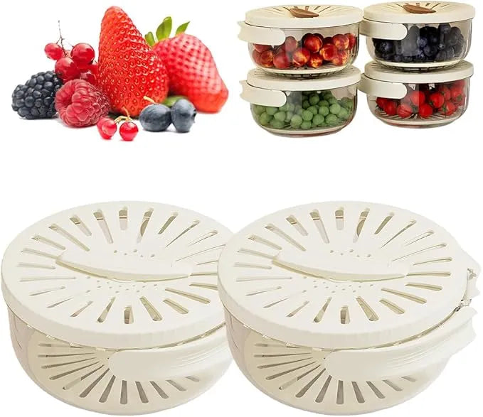 2024 New 2-in-1 Drainer and Strainer | Multi-Function Basket with Lid & Collapsible Handle