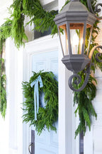 ✨Christmas Greenery -  Norfolk Pine Canes🌲