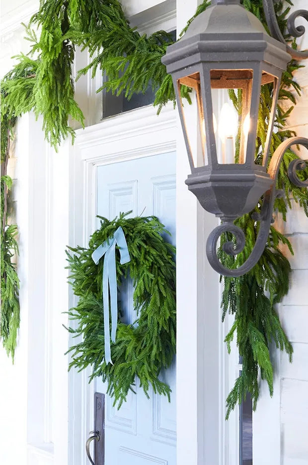 ✨Christmas Greenery -  Norfolk Pine Canes🌲