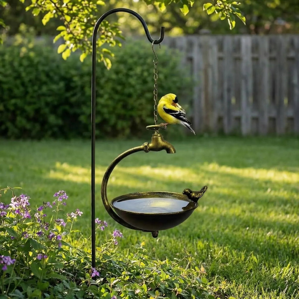 🐦 Vintage Outdoor Bird Bath & Feeder
