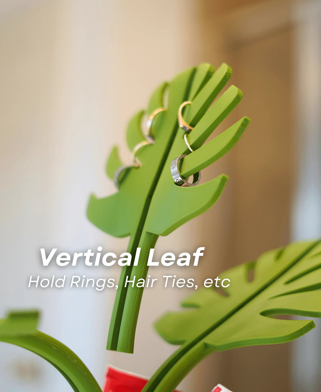 Mirror Monstera