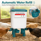 🐔 Hanging Automatic Chicken Feeding & Watering System 🔥