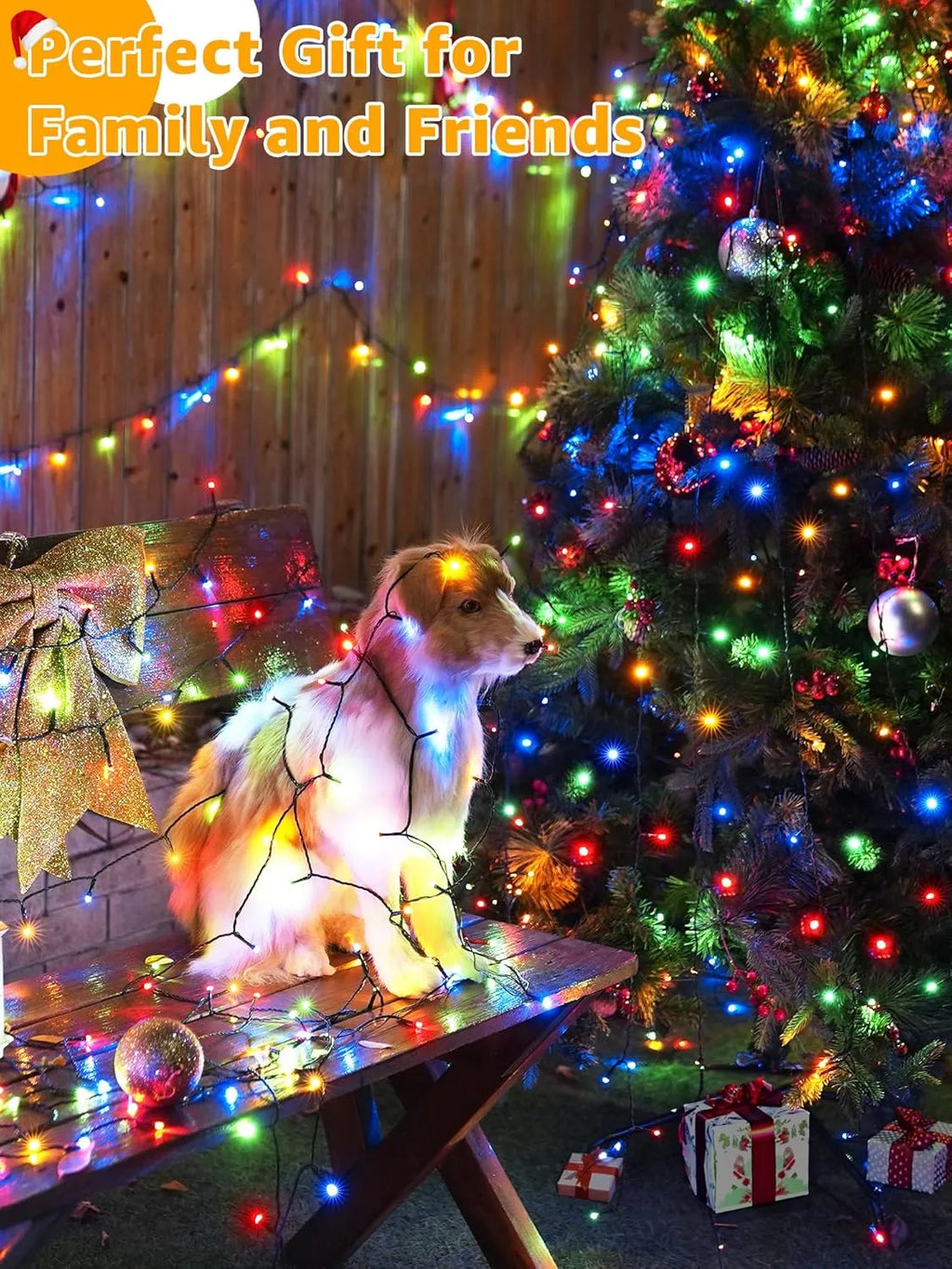 🎄 Want to Light Up the Night in the Most Magical Way?