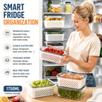 🥗 Refrigerator Draining Storage Basket – Fresh Food Organizer Box