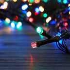 🎄 Want to Light Up the Night in the Most Magical Way?
