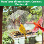 🐦 Acrylic Window Bird Feeder – Clear Bird House with Strong Suction Cups & Removable Seed Tray