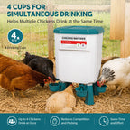 🐔 Hanging Automatic Chicken Feeding & Watering System 🔥