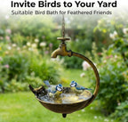 🐦 Vintage Outdoor Bird Bath & Feeder