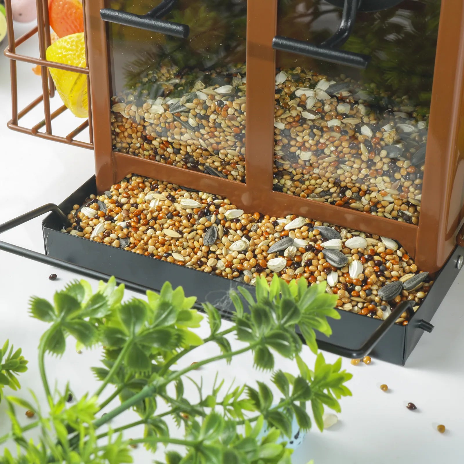 🐦 Outdoor Bird Feeder with Dual Suet Cages