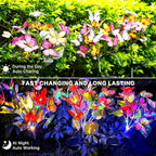 🦋 Solar Butterfly Garden Lights
