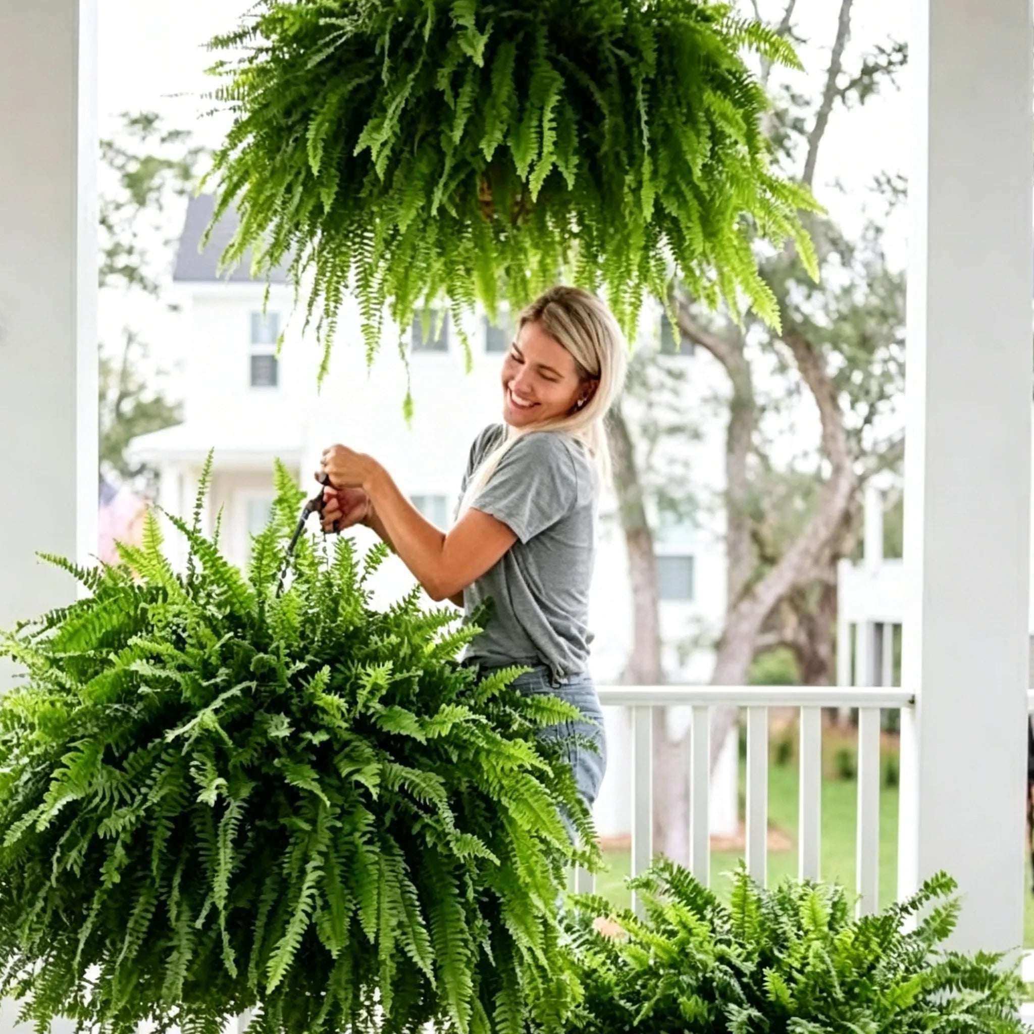 🌿23.62-Inch Artificial Boston Ferns – Realistic Faux Hanging Greenery