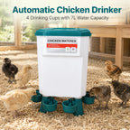 🐔 Hanging Automatic Chicken Feeding & Watering System 🔥