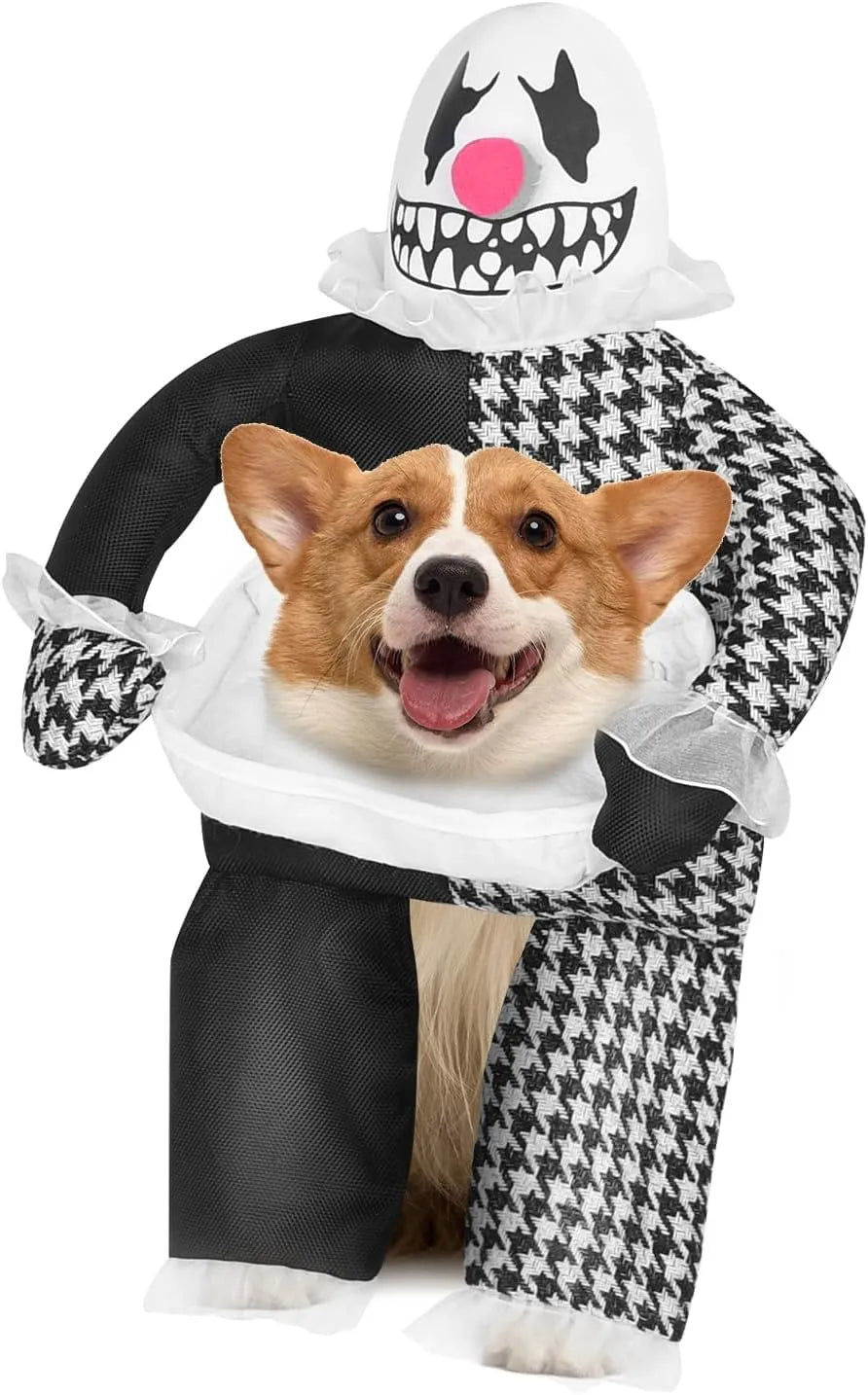 Funny Ghost Pet Dog Costume
