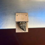 🦪Oyster Shucking Clamp  - Hand protection/portable tools