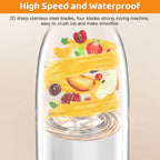 Portable Blender for Shakes & Smoothies