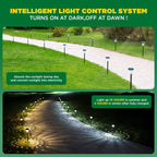 ✨ Solar Pathway Lights – Outdoor Waterproof Garden Lights
