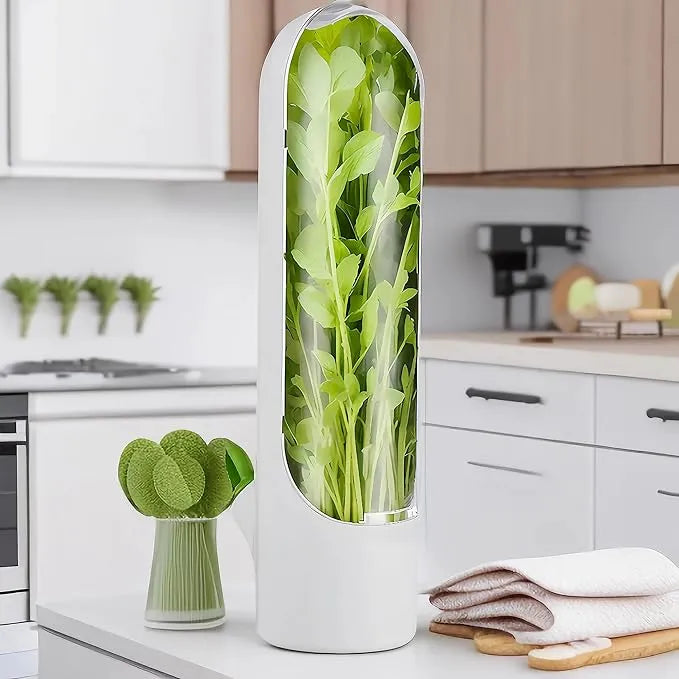 Herb Saver for Refrigerator