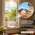 🦜Portable Window Bird Feeder – Perfect for Birdwatching from Your Home!