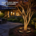 360° Warm White Tree Ring Landscape Lighting Kit