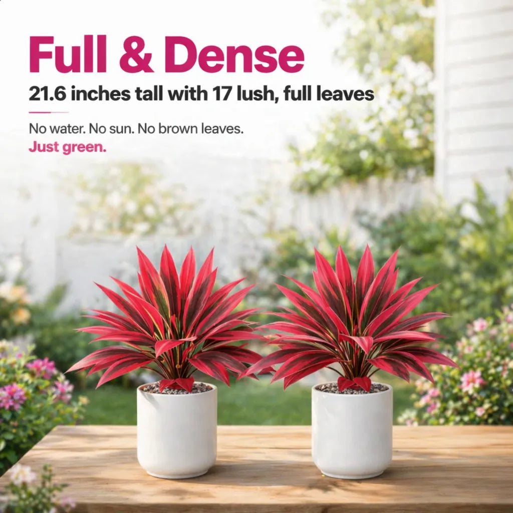2‑Pack 21.6" Artificial Cordyline Plant