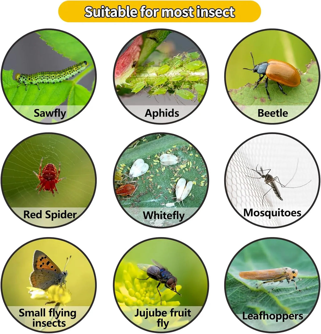 Non-Toxic Pre-Baited Sticky Fly Paper Trap Roll