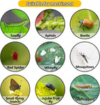 Non-Toxic Pre-Baited Sticky Fly Paper Trap Roll