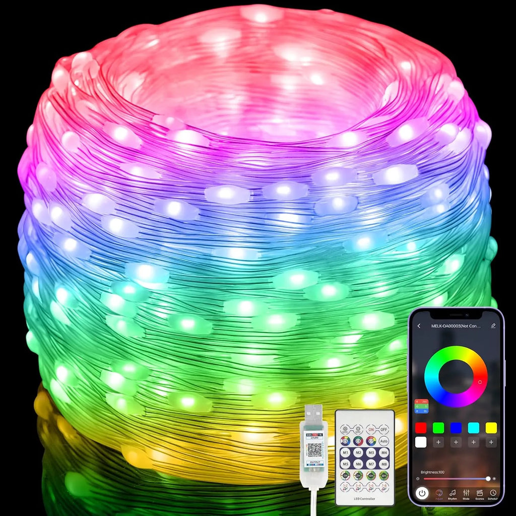 Smart String Lights  [APP & Remote Control]