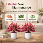 2‑Pack 21.6" Artificial Cordyline Plant